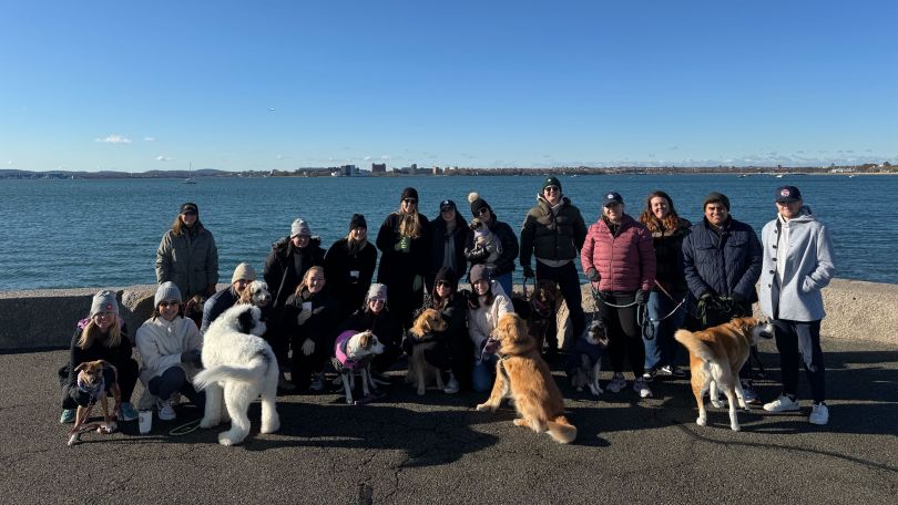 A group photo of Hi Marley employees outside with dogs. 